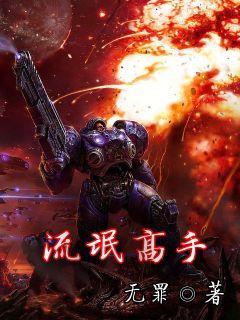 流氓高手 无罪